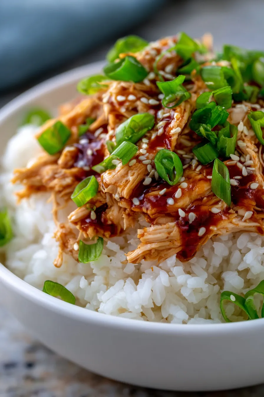 Slow Cooker Honey BBQ Chicken and Rice-garnish-texture
